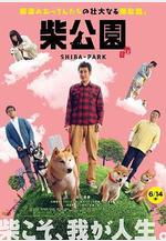 柴犬公園 柴公園線上看