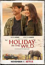 野外聖誕節 Holiday in the Wild線上看