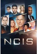 海軍罪案調查處 第十七季 NCIS: Naval Criminal Investigative Service Season 17線上看