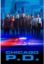 芝加哥警署 第七季 Chicago P.D. Season 7線上看