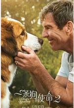 一條狗的使命2 A Dog's Journey線上看