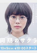 同期的小櫻 同期のサクラ線上看