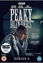 浴血黑幫 第五季 Peaky Blinders Season 5線上看
