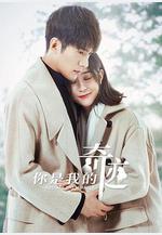 你是我的奇蹟線上看