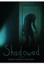 暗影 Shadowed線上看