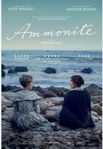 菊石 Ammonite線上看