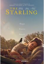 八哥 The Starling線上看