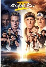 眼鏡蛇 第四季 Cobra Kai Season 4線上看