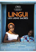 紐帶 Lingui線上看