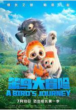 笨鳥大冒險線上看