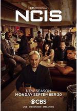 海軍罪案調查處 第十九季 NCIS: Naval Criminal Investigative Service Season 19線上看