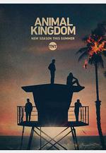 野獸家族 第五季 Animal Kingdom Season 5線上看