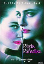 天堂鳥 Birds of Paradise線上看