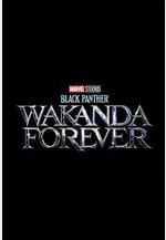 黑豹2 Black Panther: Wakanda Forever線上看