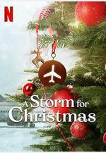 聖誕風暴 A Storm for Christmas線上看