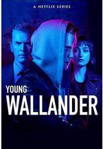 青年維蘭德 第二季 Young Wallander Season 2線上看