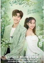 星河璀璨的我們線上看