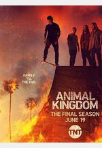 野獸家族 第六季 Animal Kingdom Season 6線上看