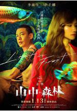 山中森林線上看