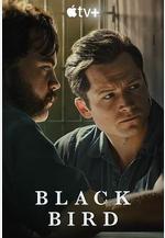 黑鳥 Black Bird線上看
