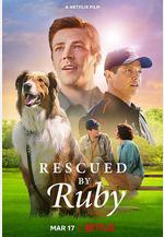 義犬救主 Rescued by Ruby線上看