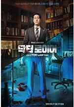 醫法刑事 닥터로이어線上看