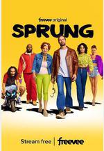 善人愚事 第一季 Sprung Season 1線上看