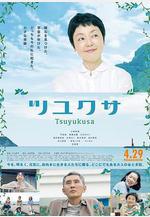 鴨跖草 ツユクサ線上看