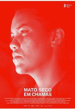 燃燒的干灌木 Mato seco em chamas線上看