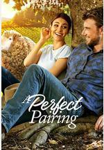 完美絕配 A Perfect Pairing線上看