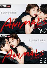 動物 ANIMALS‐アニマルズ‐線上看