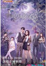 致勇敢的你線上看