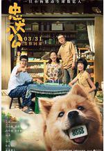 忠犬八公線上看