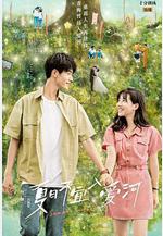 夏日不宜入愛河線上看