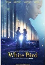 白鳥：奇蹟 White Bird線上看