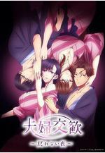 夫婦聯歡~回不去的夜晚~ 夫婦交歓～戻れない夜～線上看