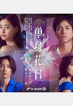 單身初戀日記 単身花日線上看