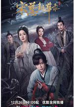 宋慈韶華錄線上看