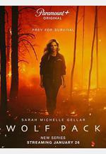 狼羣 Wolf Pack線上看