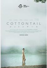 棉尾兔 Cottontail線上看