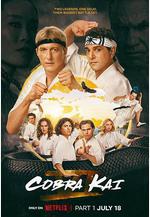 眼鏡蛇 第六季 Cobra Kai Season 6線上看