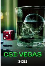 犯罪現場調查：維加斯 第三季 CSI: Vegas Season 3線上看