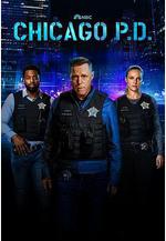 芝加哥警署 第十一季 Chicago P.D. Season 11線上看