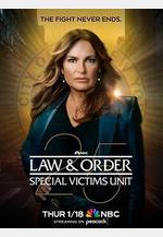 法律與秩序：特殊受害者 第二十五季 Law & Order: Special Victims Unit Season 25線上看