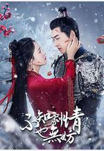 不知劇情也無妨線上看