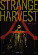 怪奇收割 Strange Harvest線上看