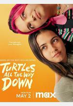 刨根問底 Turtles All The Way Down線上看