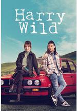 野探哈莉 第三季 Harry Wild Season 3線上看
