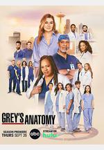 實習醫生格蕾 第二十一季 Grey's Anatomy Season 21線上看