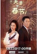 夫妻的春節線上看